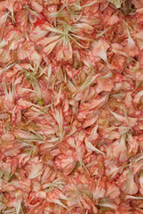 Inquadratura a pieno formato di petali di fiori stesi su un piano.