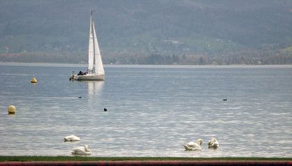 voilier sur le lac