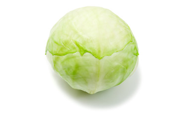 Fototapeta premium cabbage