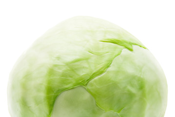 cabbage