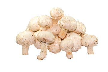 Button mushrooms