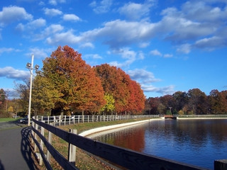 Autumnal Landscape