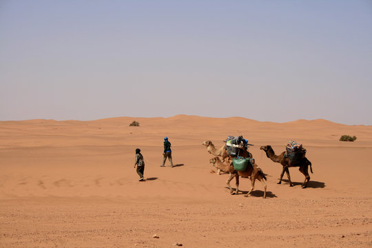 Guides touareg