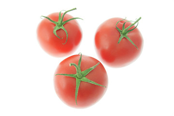 Tomatoes