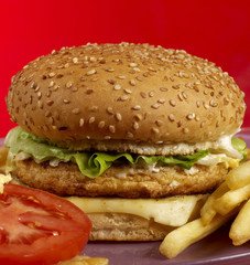Food series