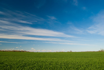 champs de france, terres agricoles