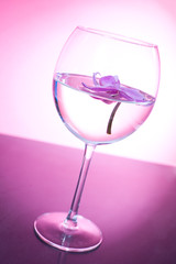 pink orchid in the wine glass