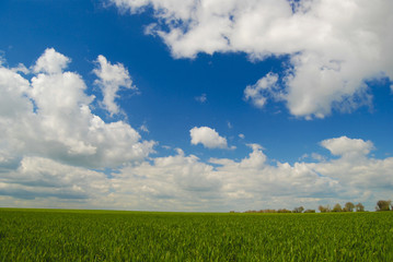 champs de france, terres agricoles