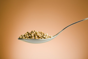 Spoon filled with coriander seeds