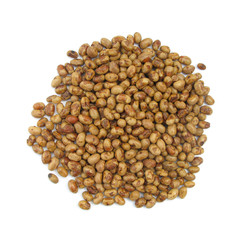 Soya bean soybean isolated on white background