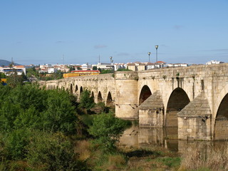 Fototapeta premium Mérida y el Guadiana 3