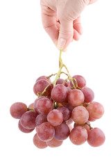 grape