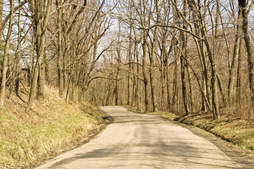 Obraz premium Winding Rural Path