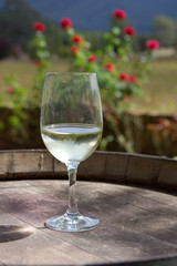 Glass of wine.