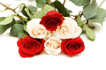 Many roses isolated on the white background