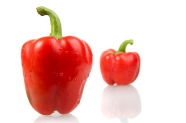 Bell peppers