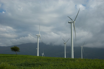 NATURA, SCIENZA E TECNOLOGIA