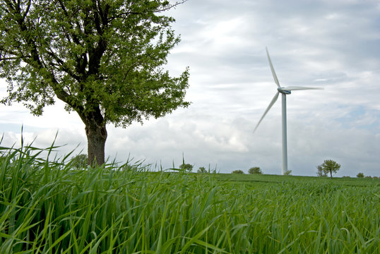 ENERGIA PULITA, NATURA IN ARMONIA CON SCIENZA E TECNOLOGIA