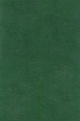 HQ XXL green leather texture