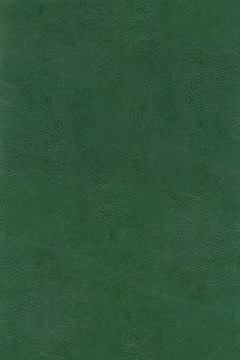 HQ XXL green leather texture