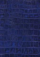 Blue reptile leather imitation texture