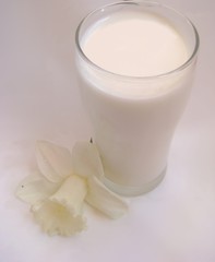 milk