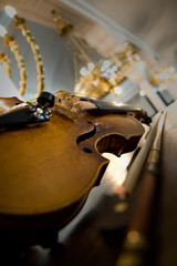 Old violin close-up