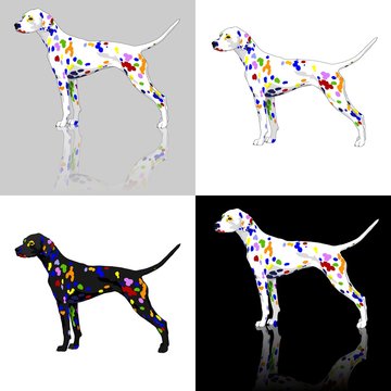 dalmata policromatico