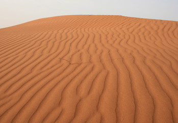 Dune du Sahara au Maroc