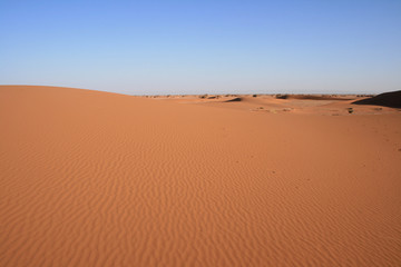 Fototapeta na wymiar étendue désertique dans le sahara marocain
