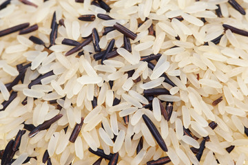 closeup of wild rice