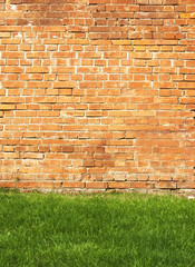 Brick wall on a green grass