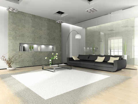 Modern interior with sofa and white carpet