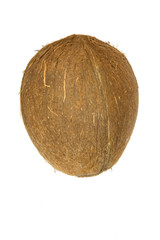 coconut isolated on white