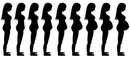 Pregnant Woman Long Hair Stages