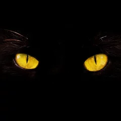 Türaufkleber Panther Augen