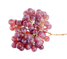 Grape cluster isolated