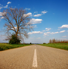 Fototapeta premium Straight road