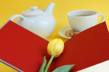 Spring Reading
