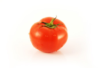 fresh tomato with stem and water drops