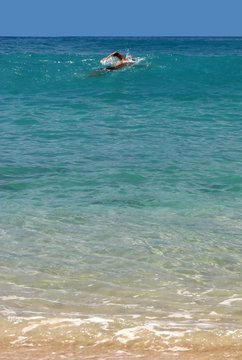 swimmer in St. Barth, Caribbean