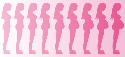 Stages of Pregnancy Girl