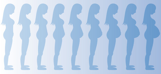 Pregnancy Stages Boy
