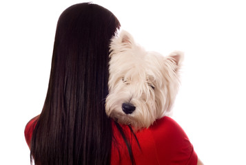 young woman with West Highland White Terrier (isolated on white)