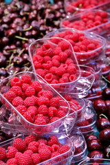 barquettes de framboises