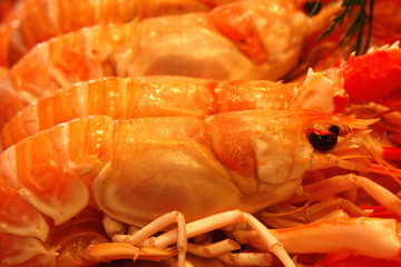 crevettes langoustes et langoustines