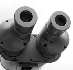 Binocular Telescope