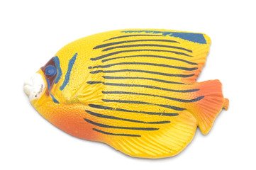 yellow Fish magnet