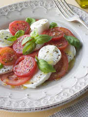 Tomato, Mozzarella Cheese and Basil Salad