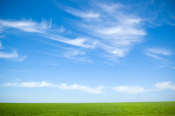background of cloudy sky and grass